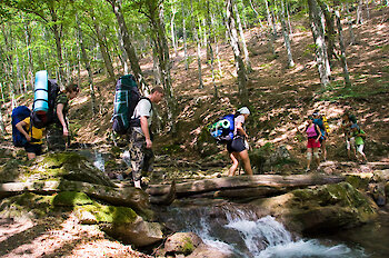 Wandern und Ausflüge im Bayerischen Wald